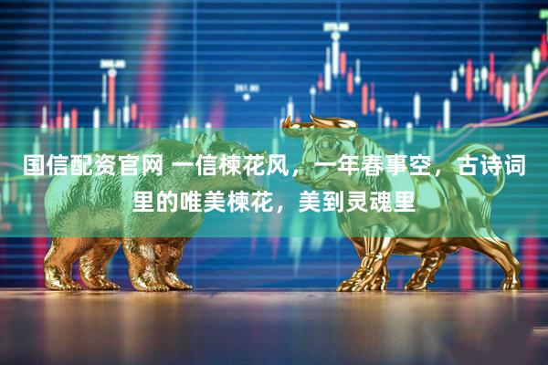 国信配资官网 一信楝花风，一年春事空，古诗词里的唯美楝花，美到灵魂里